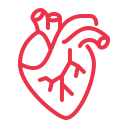 Comprehensive cardiac diagnostics at Pushpanjali Hospital