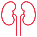 Dedicated dialysis support at Pushpanjali Hospital